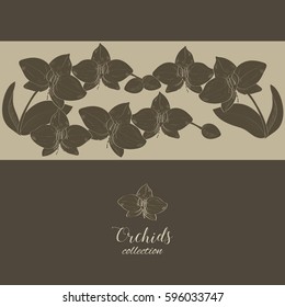 Hand drawn orchid blossom. An idea for package design.