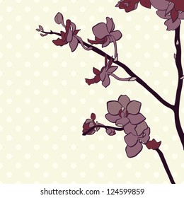 Hand drawn orchid branch on the polka dot background. Branch of a tender flowers. Vector illustration.