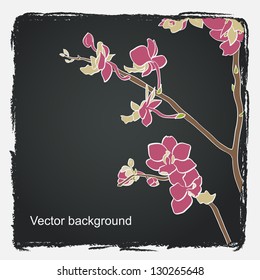 Hand drawn orchid branch on chalkboard background. Branch of a tender flowers. Vector illustration.