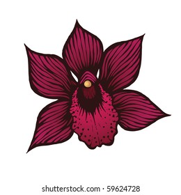 hand drawn orchid flower, vector