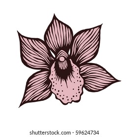 hand drawn orchid flower, vector