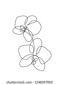 Hand drawn orchid flowers. One line drawing. Minimalist art.