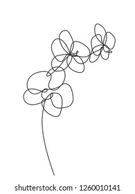 Hand Drawn Orchid Flowers. One Line Drawing. Minimalist Art.