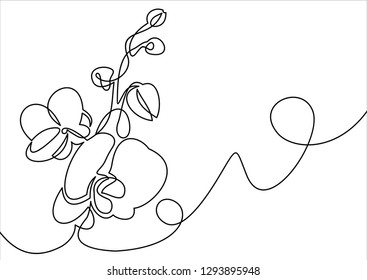 Hand drawn orchid flowers. One line drawing.Vector illustration