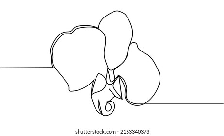 Hand drawn orchid flowers. One line drawing. Minimalist art