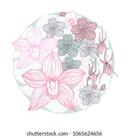 Hand drawn orchids  in a circle. Vector sketch illustration