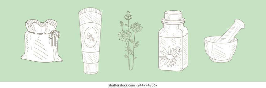 Hand Drawn Organic Cosmetics Ingredients and Herbs in Sketch Style Vector Set