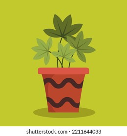 hand drawn organic flat ornamental plant isolated