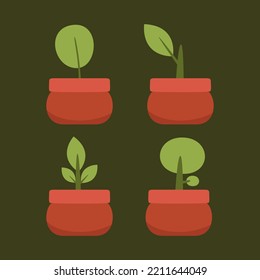 hand drawn organic flat ornamental plant set