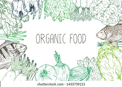 Hand drawn organic food background. Organic herbs, spices and seafood. Healthy food drawings set elements for menu design. Vector illustration.