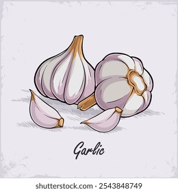 Hand drawn organic fresh whity purple garlic with cloves on front, good for body health isolated 