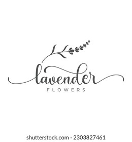 Diseño del logo de la flor de lavanda orgánica dibujado a mano.Logo para cosméticos, belleza, té, aceite, hierbas.