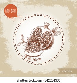 Hand drawn organic pomegranates  with seeds and leafs. Sketch style vector illustration.
