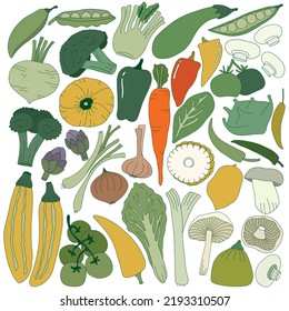 Hand drawn organic vegetable food set in doodle art style on white background