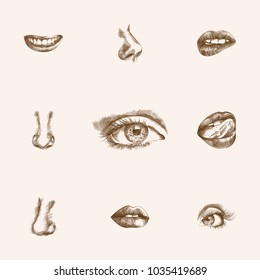 Hand drawn organs sketches set. Collection of lick, mouth, eyelash and other sketch elements.