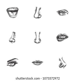 Hand drawn organs sketches set. Collection of smell, teeth, sniff and other sketch elements.