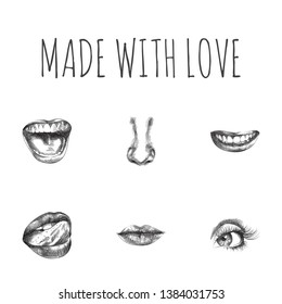 Hand drawn organs sketches set. Collection of tongue, smile, teeth and other sketch elements.