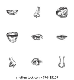 Hand Drawn Organs Sketches Set. Collection Of Eyelash, Smell, Lips And Other Sketch Elements.