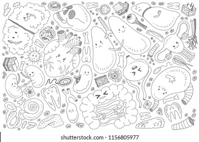 Órganos dibujados a mano o fondo vital vectorial del doodle