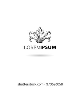 Hand drawn ornament decorative element. Logo design, vector illustration