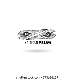 Hand drawn ornament decorative element. Logo design, vector illustration