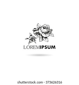Hand drawn ornament decorative element. Logo design, vector illustration