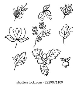 Hand drawn ornament vector design of flowers and leaves for Christmas