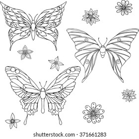 Hand drawn ornamental butterfly outline illustration 