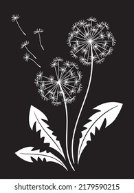 Hand drawn ornate dandelions silhouettes in graphic style isolated vector illustration