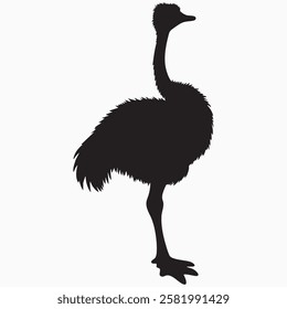 Hand drawn ostrich bird  silhouette