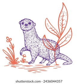 Hand drawn otter in color sketch style. Animal south america isolated on white background. Vector vintage illustration.