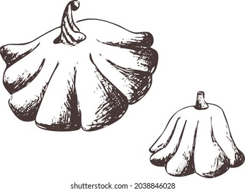 Imagen vectorial abstracta de contorno dibujada a mano. Escasez aislada sobre fondo transparente. Huellas de arte vintage de hortalizas de Eps para etiqueta, envasado, 
diseño de producto