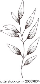 Abstraktes, handgezeichnetes Vektorbild. Teebaum-Silhouette einzeln auf transparentem Hintergrund. EPS Apotheke Kräuter. Vintage-Kunstdruck für Etiketten, Verpackungen, Produktdesign