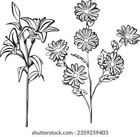 hand drawn outline of beautiful flowers