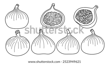 Hand drawn Outline black fig. doodle fruits set white doodle style.