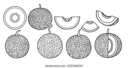 Mão desenhada Contorno melão preto. doodle frutas definir branco estilo doodle.