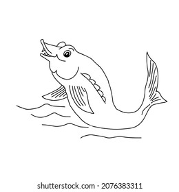 A Hand drawn outline black vector illustration of a beautiful happy sterlet fish in water isolated on a white background