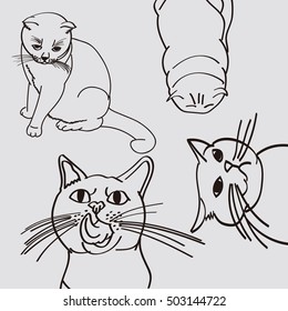 Hand drawn outline cat on grey back group 