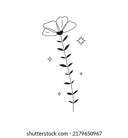 Hand drawn outline celestial flower and stars around isolated on white background.
