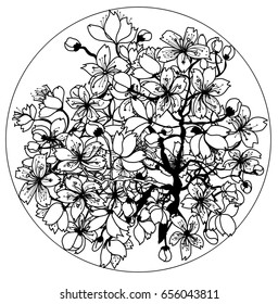 Hand drawn and outline Cherry branches with flowers, sakura vector illustration