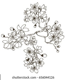 Hand drawn and outline Cherry branches with flowers, sakura vector illustration