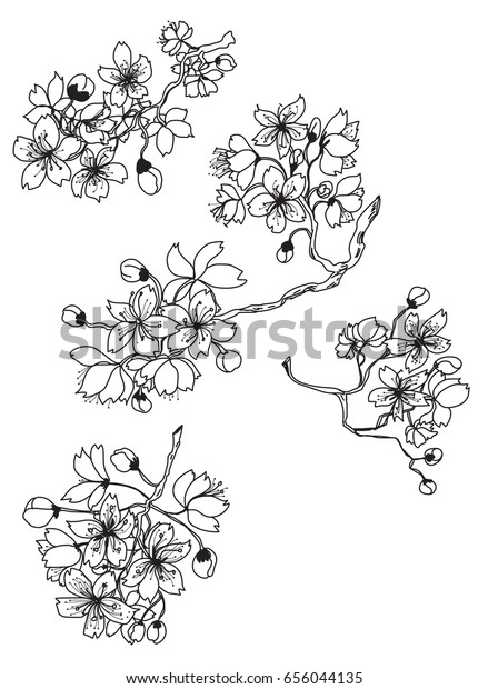 手描きの桜の枝と花 桜のベクターイラスト のベクター画像素材 ロイヤリティフリー