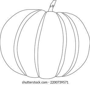 Hand Drawn Outline Coloring Page Pumpkin Stock Vector (royalty Free 