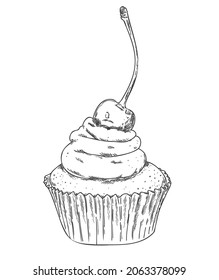 Hand drawn outline cupcake with cherriy isolated on white background. 