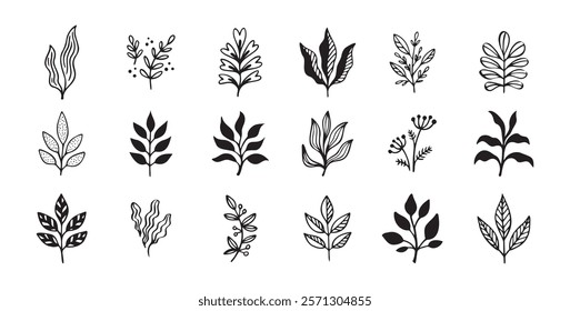 Hand drawn outline doodle floral elements leaf set. Plant leaves vector design. Vector illustration