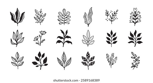 Hand drawn outline doodle floral elements leaf set. Plant leaves vector design. Vector illustration