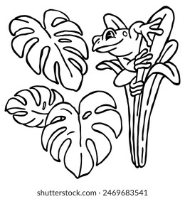 hand drawn outline drawing illustration set of tropical leaves and a frog