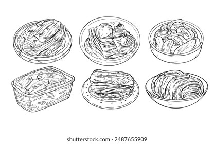 Hand drawn outline drawing Korean Kimchi food illustration vector