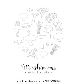 Hand drawn outline edible  mushrooms composed in circle shape. King trumpet, chanterelle, white button, shiitale, enoki, portobello, crimini, oyster, beech.