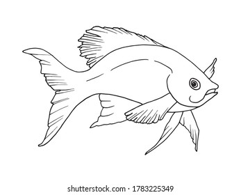 Hand drawn outline of a fish, drawing in Doodle style. Illustration for coloring, tattoo or logo.